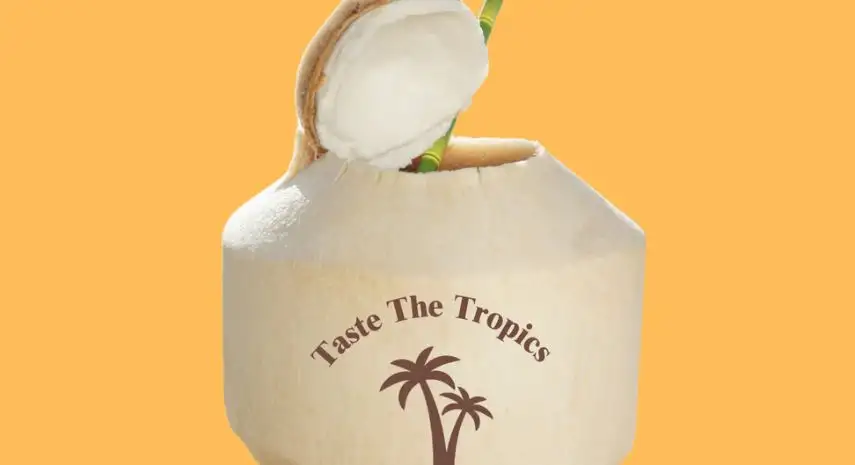 Coconut Stock Franchise Opportunities in USA