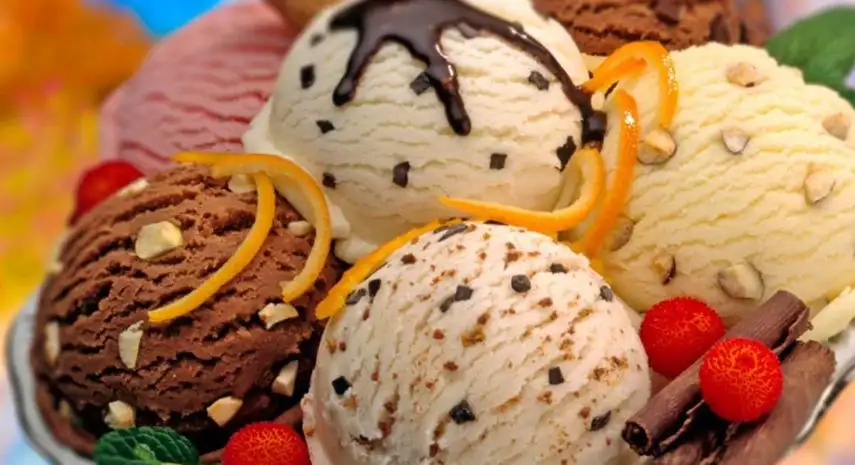 Cold Stone Creamery USA Franchise Opportunity