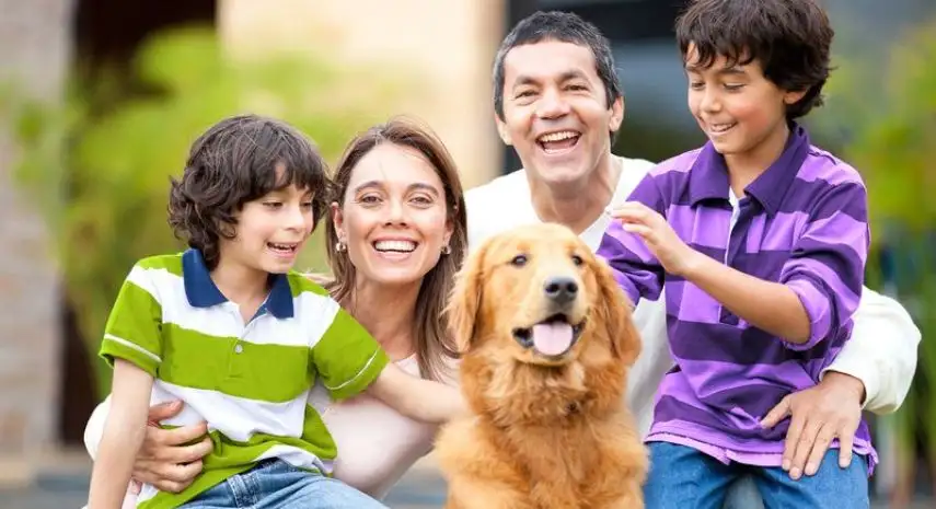 College Nannies Sitters and Tutors Franchise For Sale
