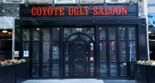 Coyote Ugly Saloon Franchise Cost, Fees & Opportunity