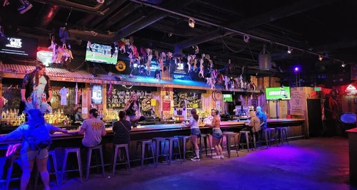 Coyote Ugly Saloon Franchise Cost, Fees & Opportunity