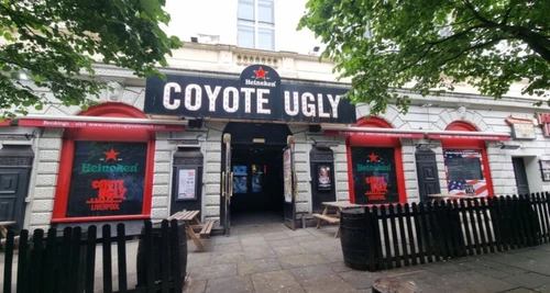 Coyote Ugly Saloon Franchise Cost, Fees & Opportunity