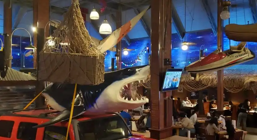 Crafty Crab USA Franchise Opportunity