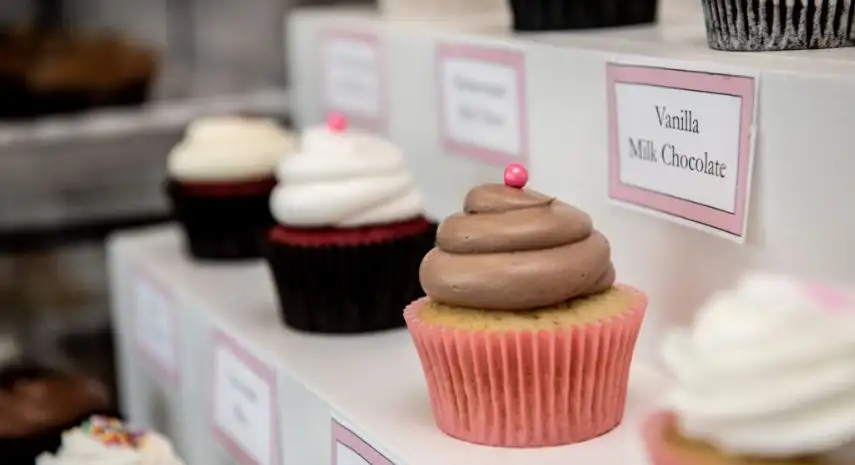 Cupcake Heaven Franchise Opportunity USA image 2