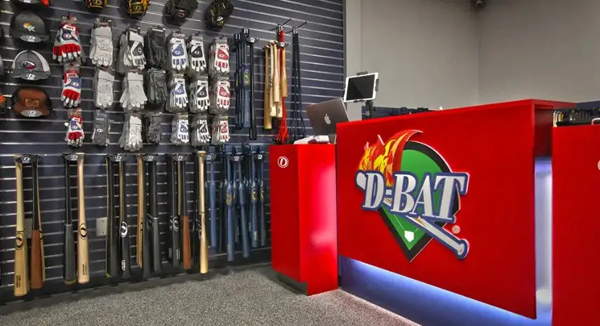 D-BAT Academies Franchise For Sale image 2