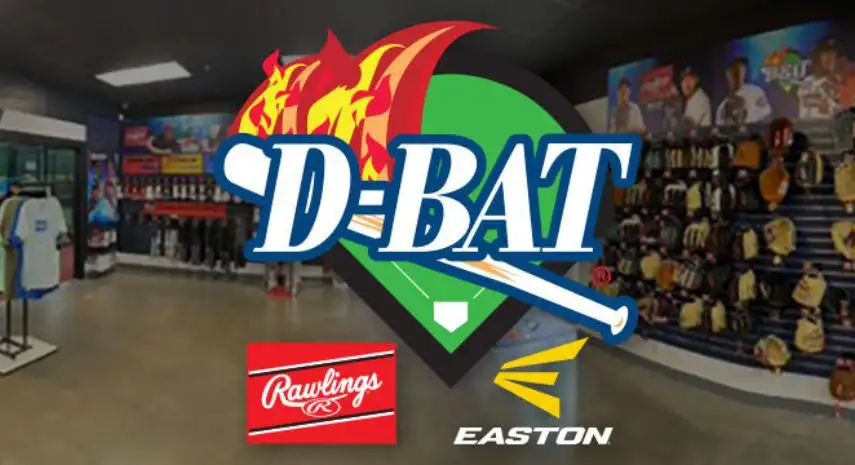 D-BAT Academies Franchise For Sale