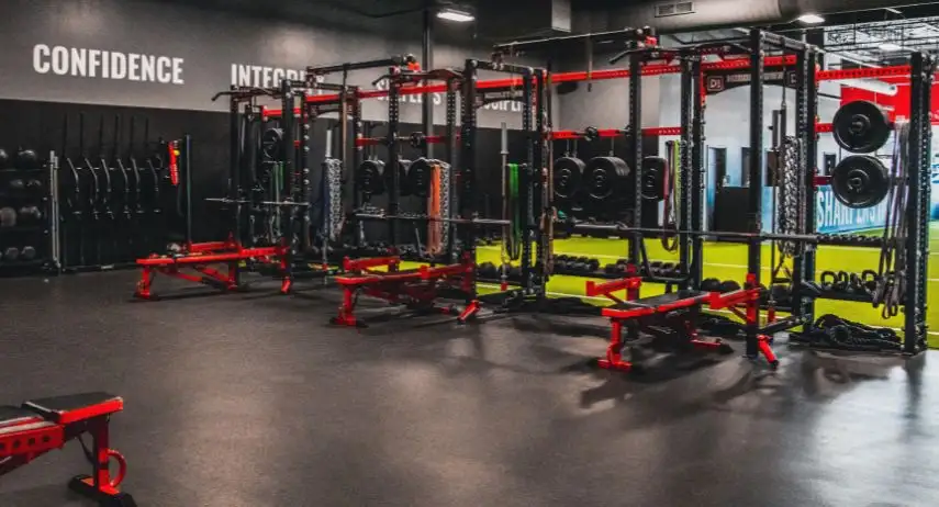 D1 Training Franchise For Sale image 2