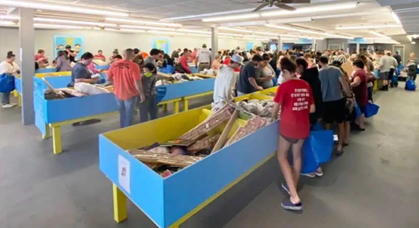 DaaBIN Store USA Franchise Opportunity