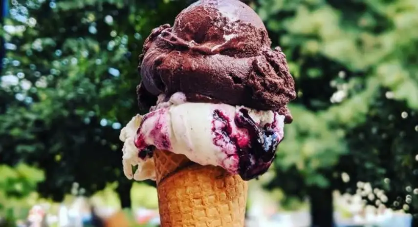 D’Ambrosio Gelato USA franchise-opportunities image 3