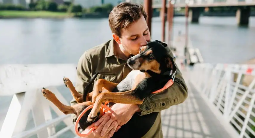 DapperTails Mobile Pet Grooming USA