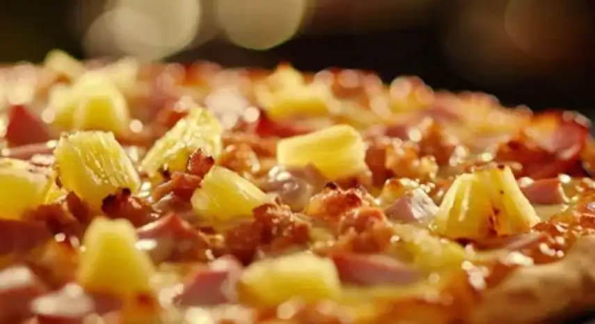DC Pizza USA Franchise Opportunity