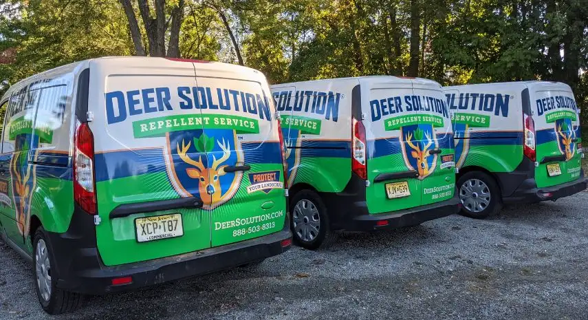 Deer Solution USA