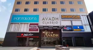 Dhishoom Cinemas Franchise Cost, Fees, Opportunity