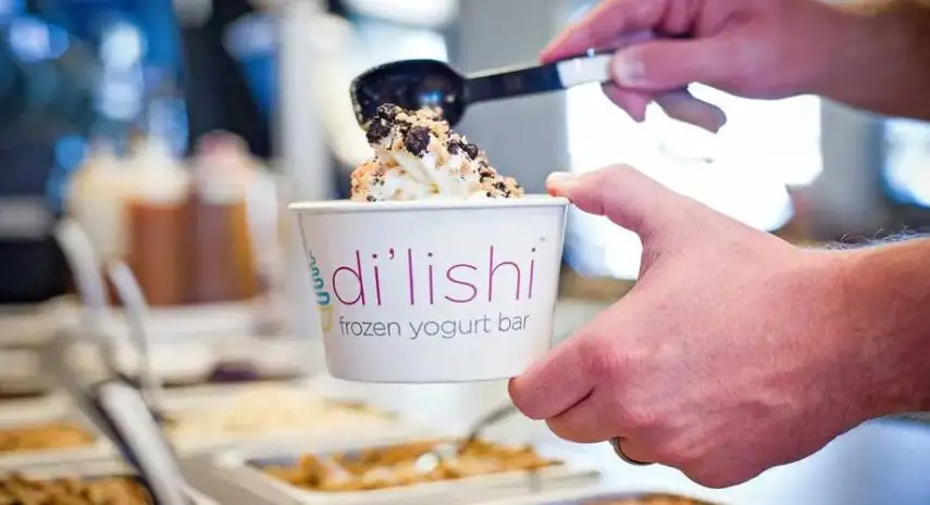Di'lishi Yogurt Coffee Smoothies Franchise Opportunity in the USA