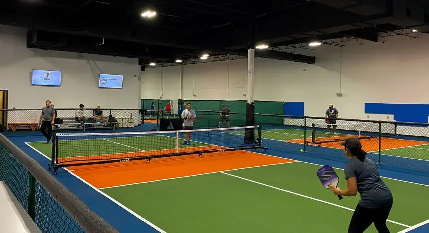 Dill Dinkers Pickleball USA