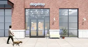 Dogdrop USA