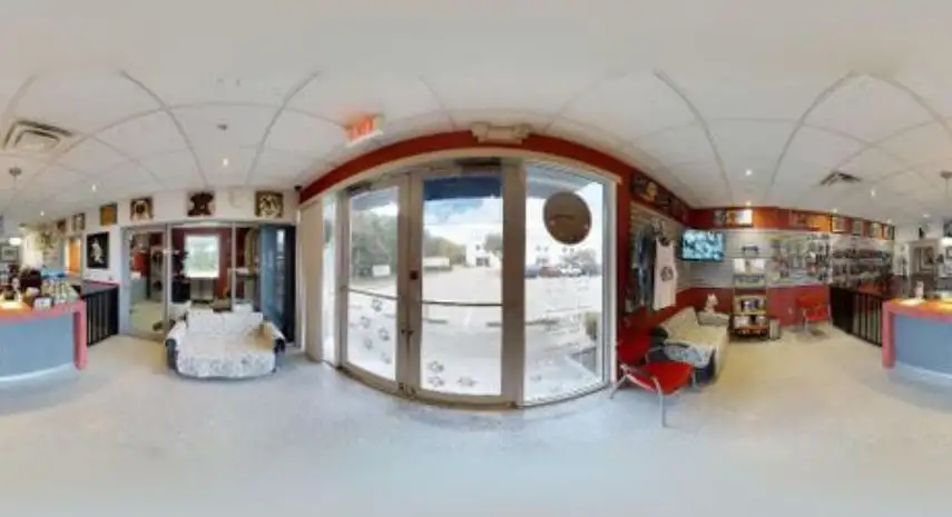 Dogstown University USA