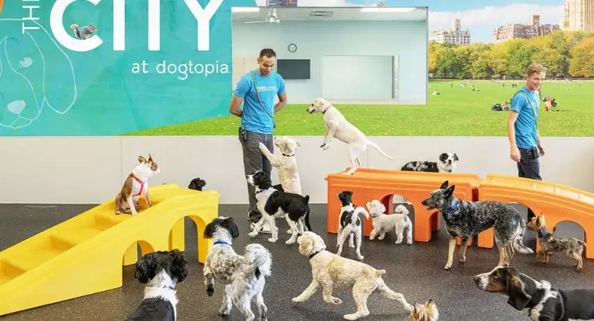 Dogtopia