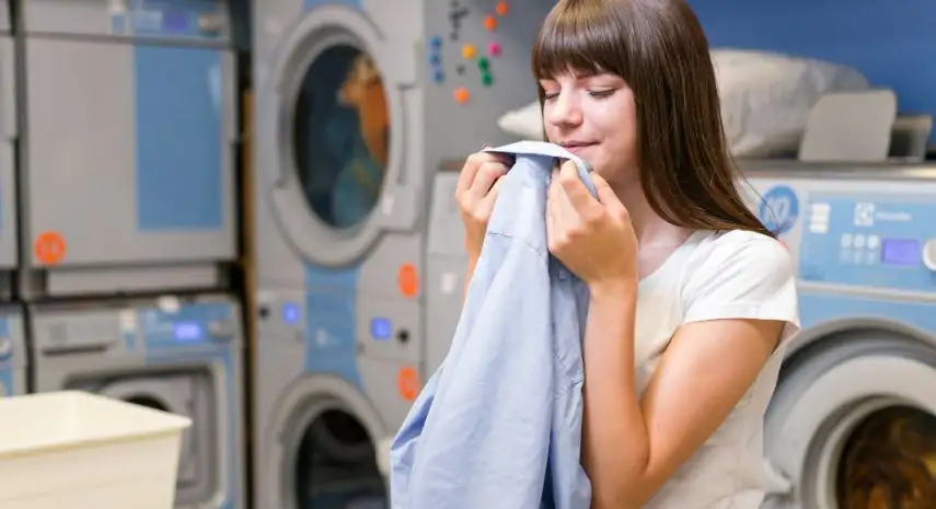 Door-to-Door Dry Cleaning USA