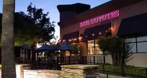 Dos Coyotes USA