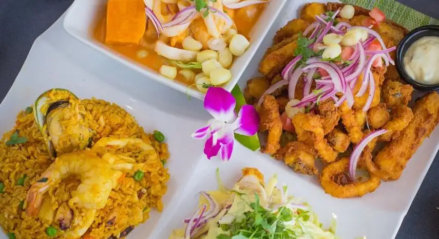 Dr. Limón Ceviche Bar USA Franchise For Sale image 4