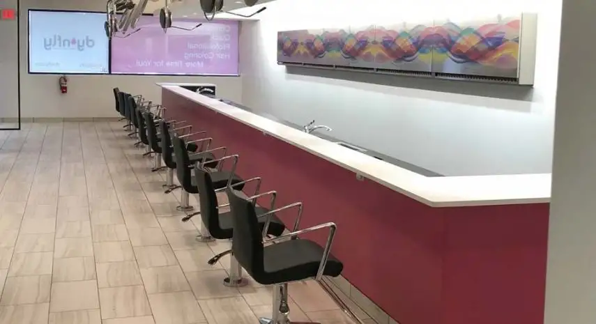 Dynfly USA franchise-opportunities