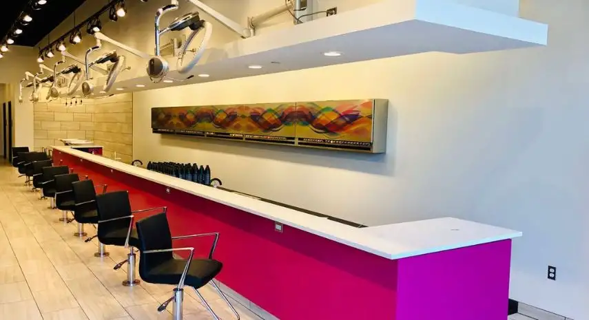 Dynfly USA franchise-opportunities image 4