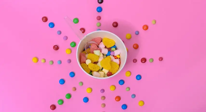 EarthFruits Yogurt USA franchise-opportunities