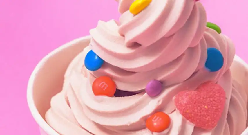 EarthFruits Yogurt USA franchise-opportunities image 3