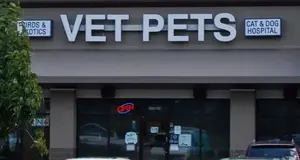 Easyvetclinic USA franchise-opportunities