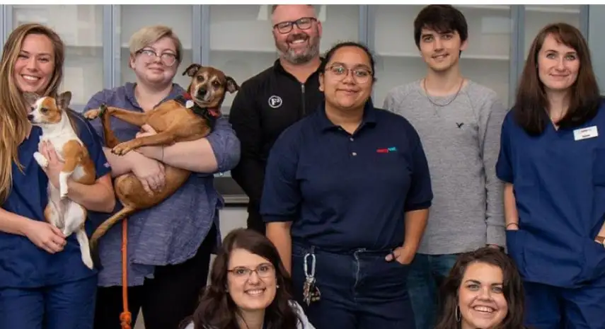 Easyvetclinic USA franchise-opportunities