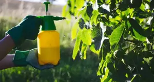 Eco-Safe Pest Control USA franchise-opportunities