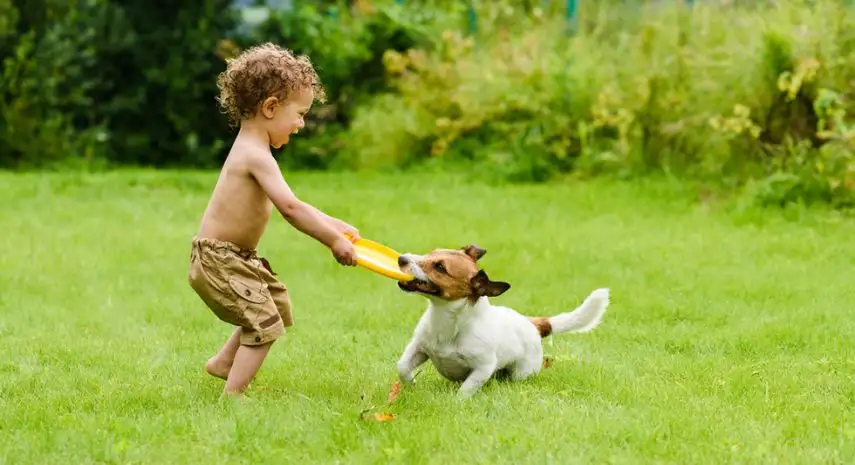 Eco-Safe Pest Control USA franchise-opportunities