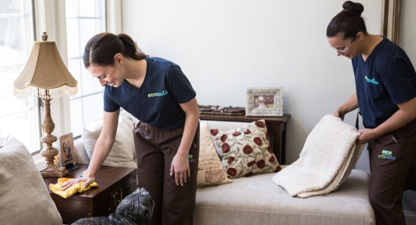 ecomaids Franchise for Sale | eco-friendly cleaning image 2