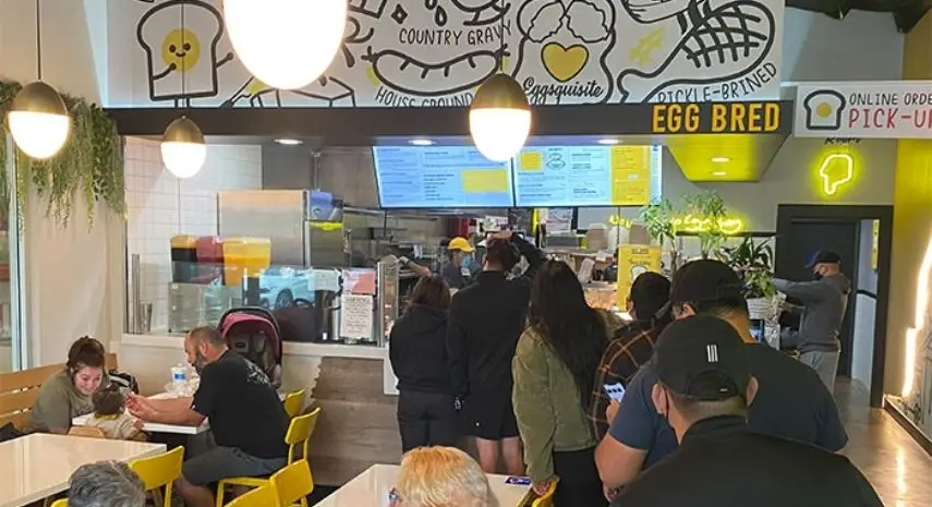 EggBred Franchise USA Opportunity