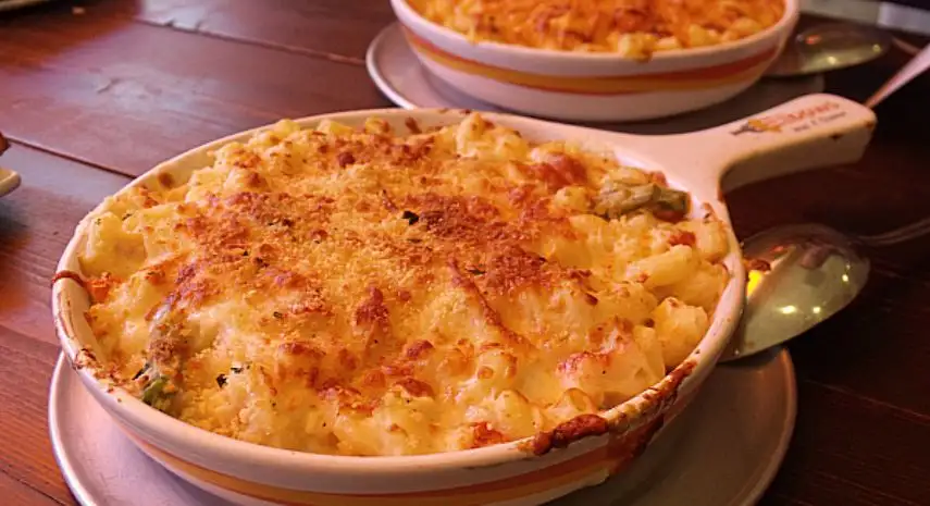 Elbows Mac N’ Cheese Franchise Opportunities in the USA