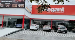 Elegant Auto Accessories