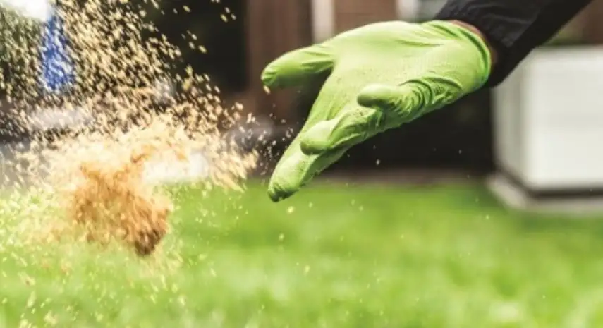 Elite Ops Exterminators  in the USA