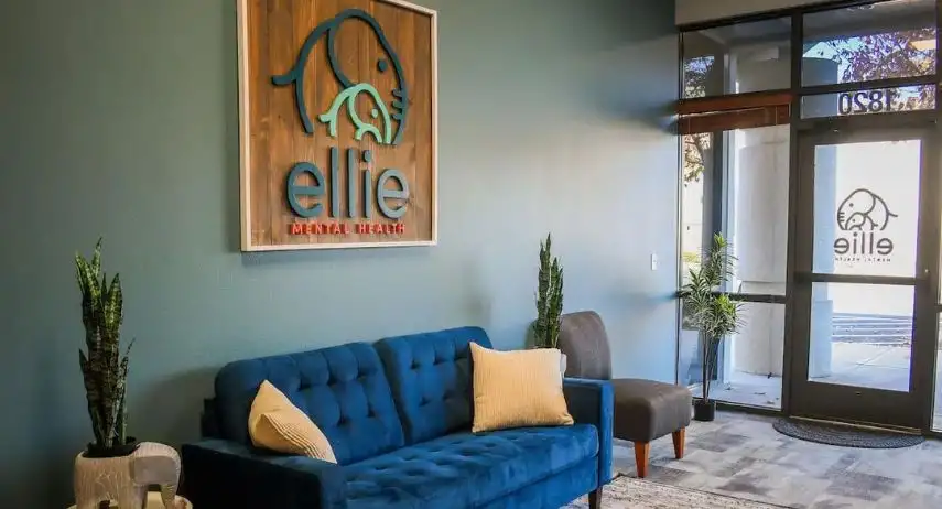 Ellie Mental Health Franchise Opportunity