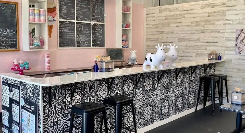 Elsie’s Franchise Opportunity USA