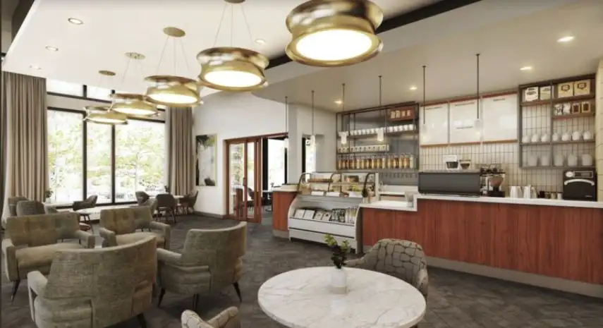 Emerald City Smoothie Franchise Opportunity in the USA