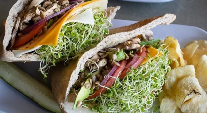 Erik’s DeliCafé USA franchise-opportunities