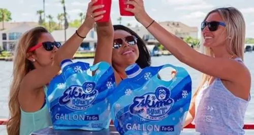 Eskimo Hut Franchise Cost, Fees, ROI & Opportunity image 2