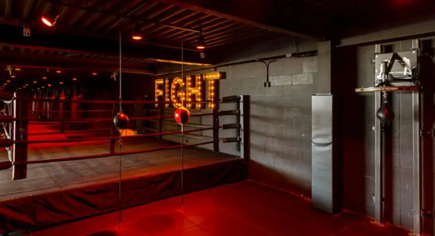 Everybody Fights Franchise Opportunity