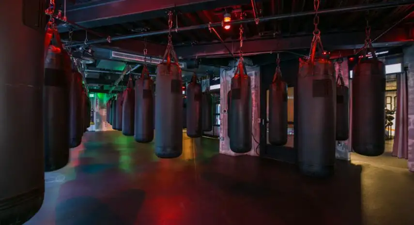 Everybody Fights Franchise Opportunity image 3