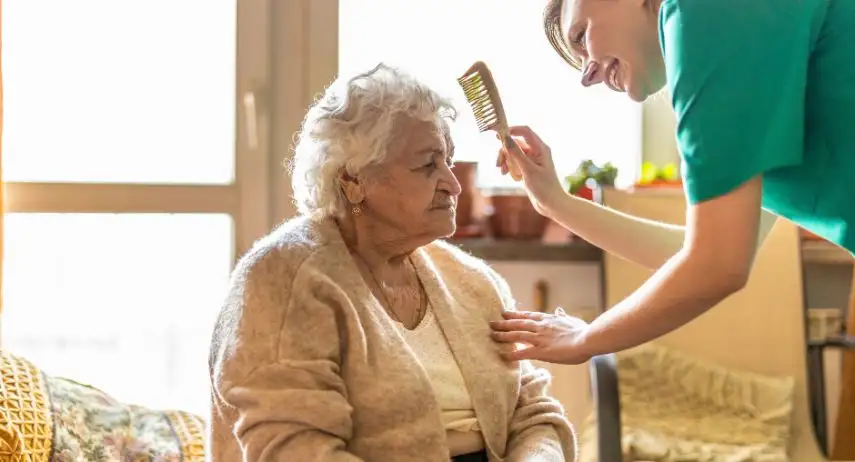 Executive Home Care Franchise Opportunity