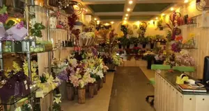 Ferns 'N' Petals  in India