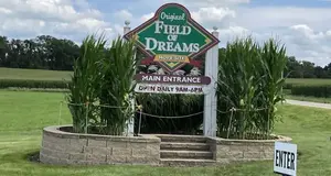 Field of Dreams