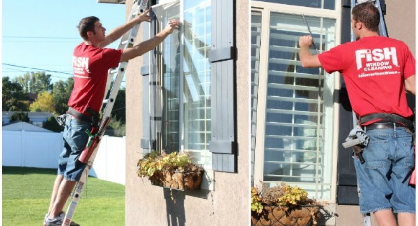 Fish Window Cleaning Franchise For Sale image 2