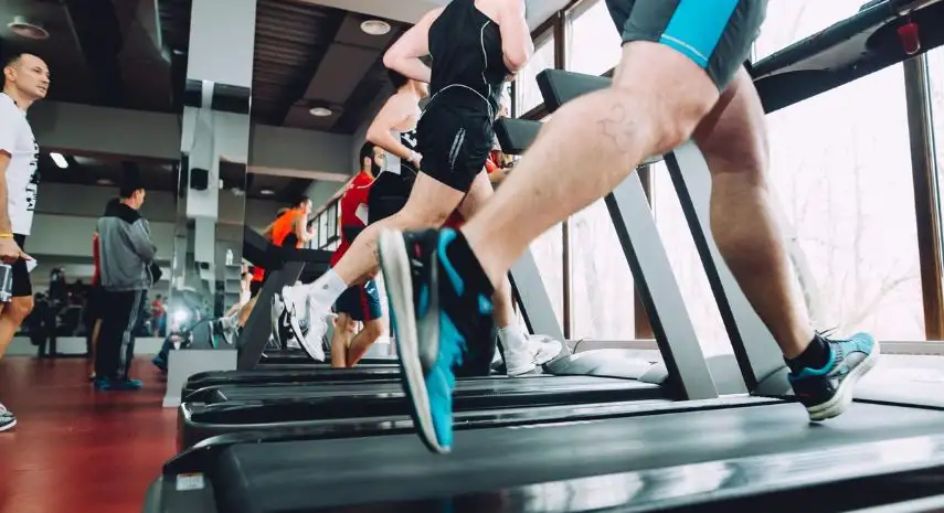 Fitness Evolution Franchise Opportunities